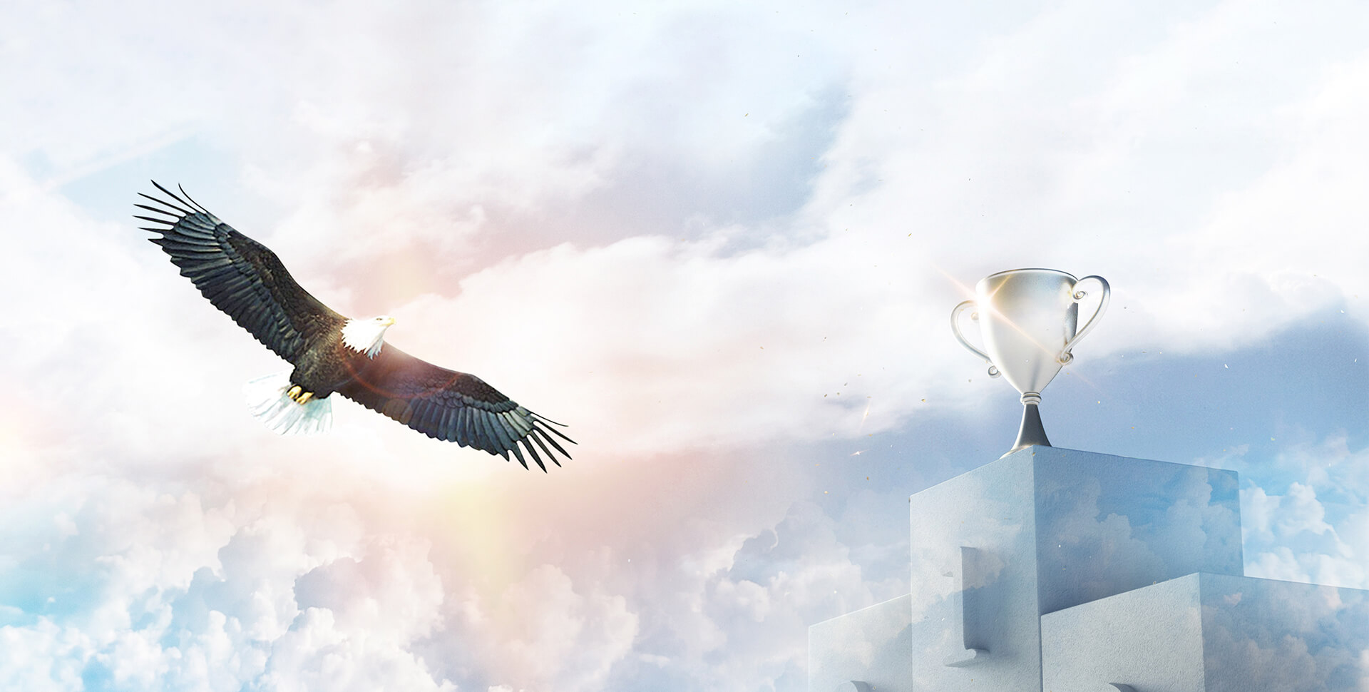 榮譽(yù)資質(zhì)