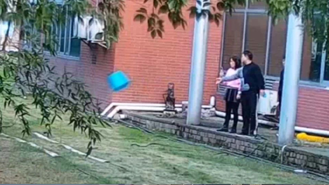 用數據說話，風雨小動物不誤報！