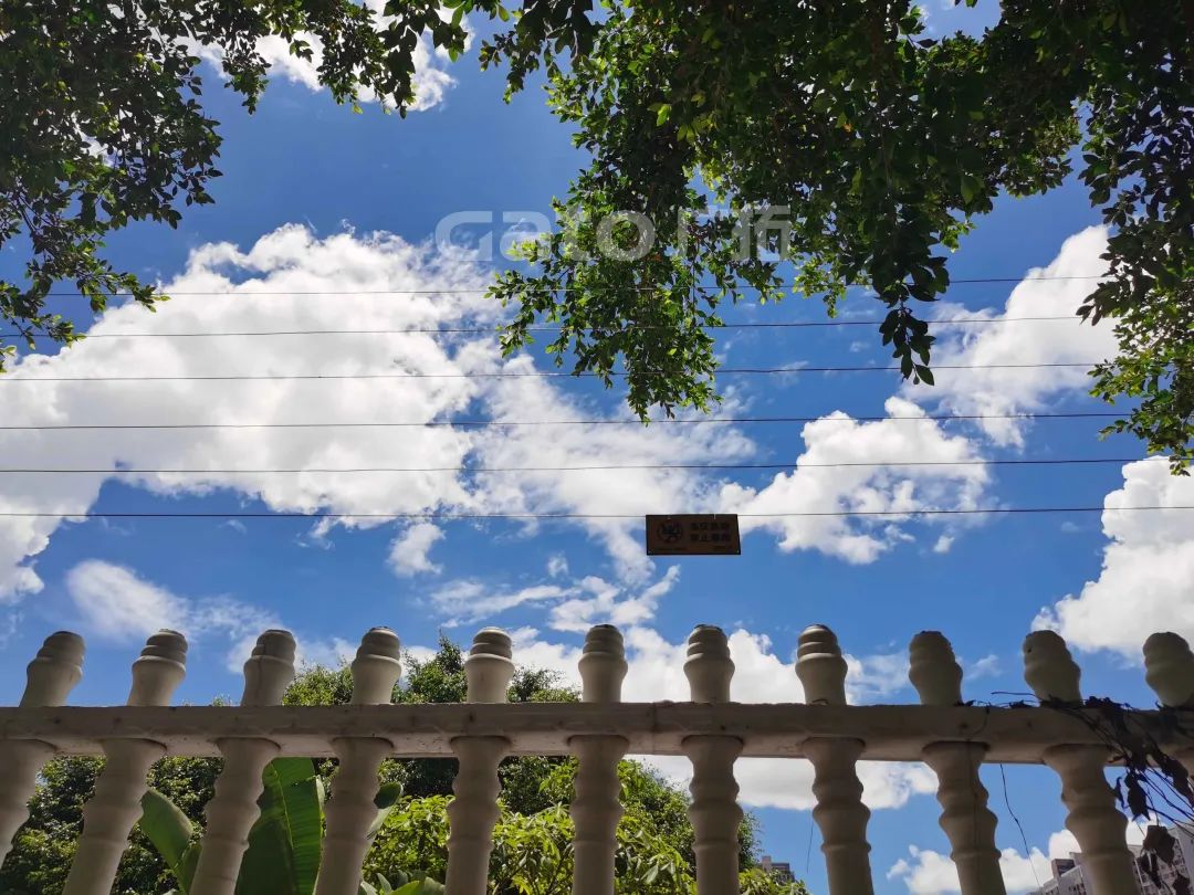 泉州東海污水處理廠周界報警解決方案(圖5)