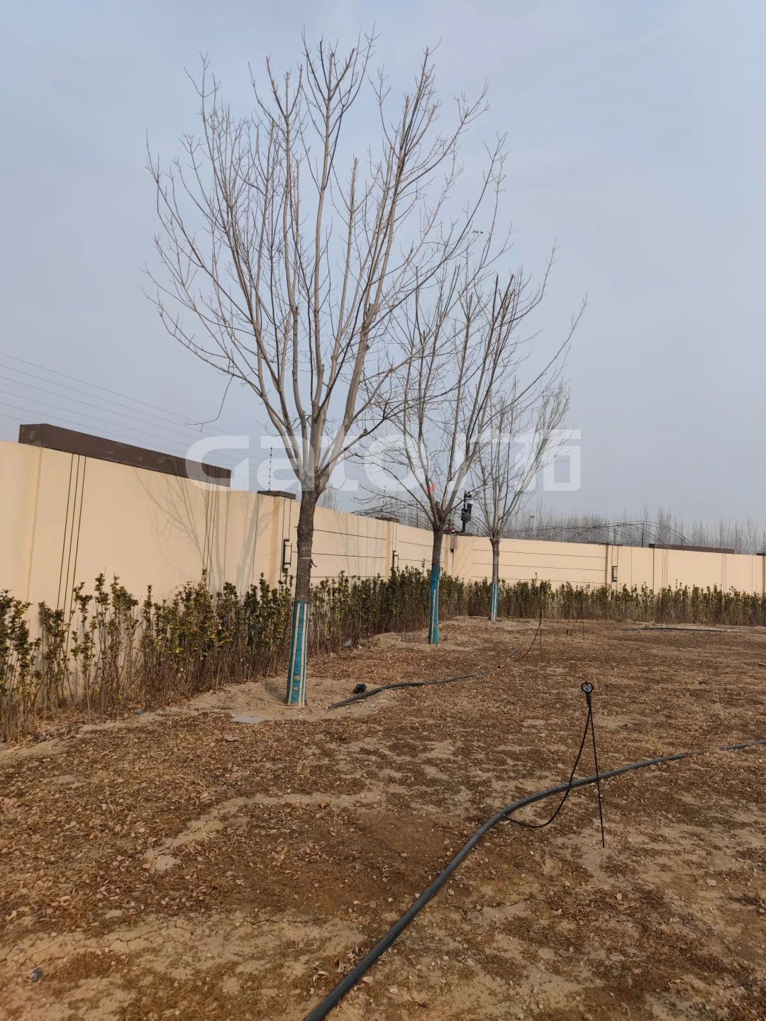 國家建筑節(jié)能技術國際創(chuàng)新園投產，廣拓G5s守護周界安全(圖8)