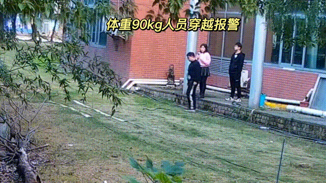 用數(shù)據(jù)說話，風(fēng)雨小動物不誤報！(圖4)