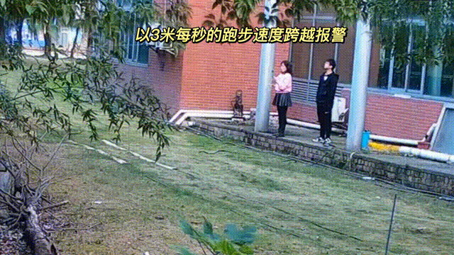 用數(shù)據(jù)說話，風(fēng)雨小動物不誤報！(圖8)