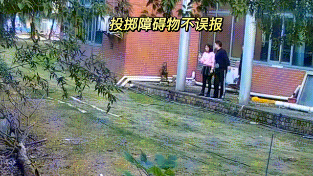 用數(shù)據(jù)說話，風(fēng)雨小動物不誤報！(圖11)