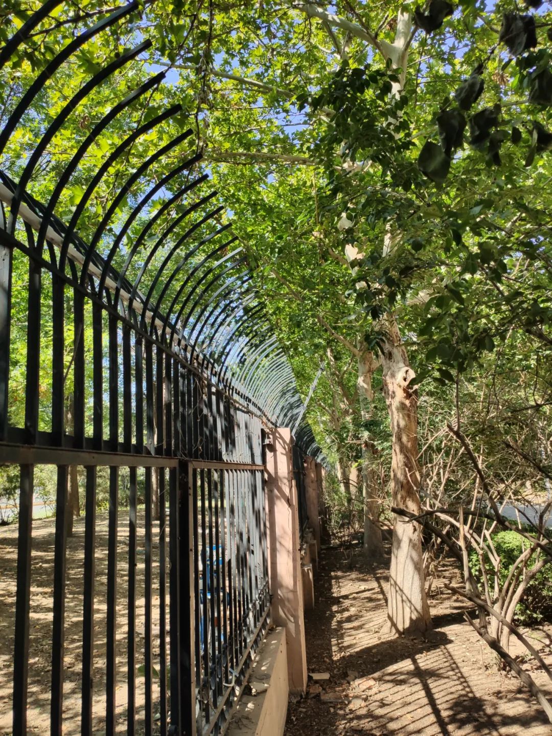 開學(xué)季！廣拓給孩子們最好的禮物是安全！(圖10)