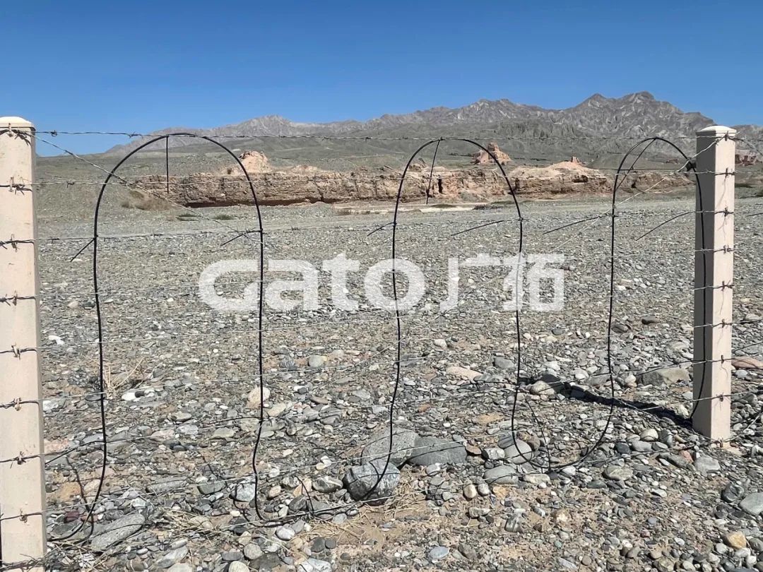 “唐僧”取經(jīng)路過的新疆古佛寺，千年后用上了廣拓F7振動(dòng)光纖系統(tǒng)！(圖7)