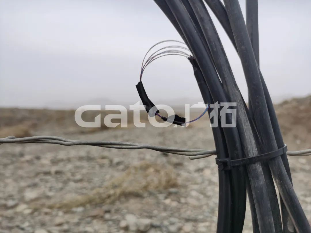 “唐僧”取經(jīng)路過的新疆古佛寺，千年后用上了廣拓F7振動(dòng)光纖系統(tǒng)！(圖12)