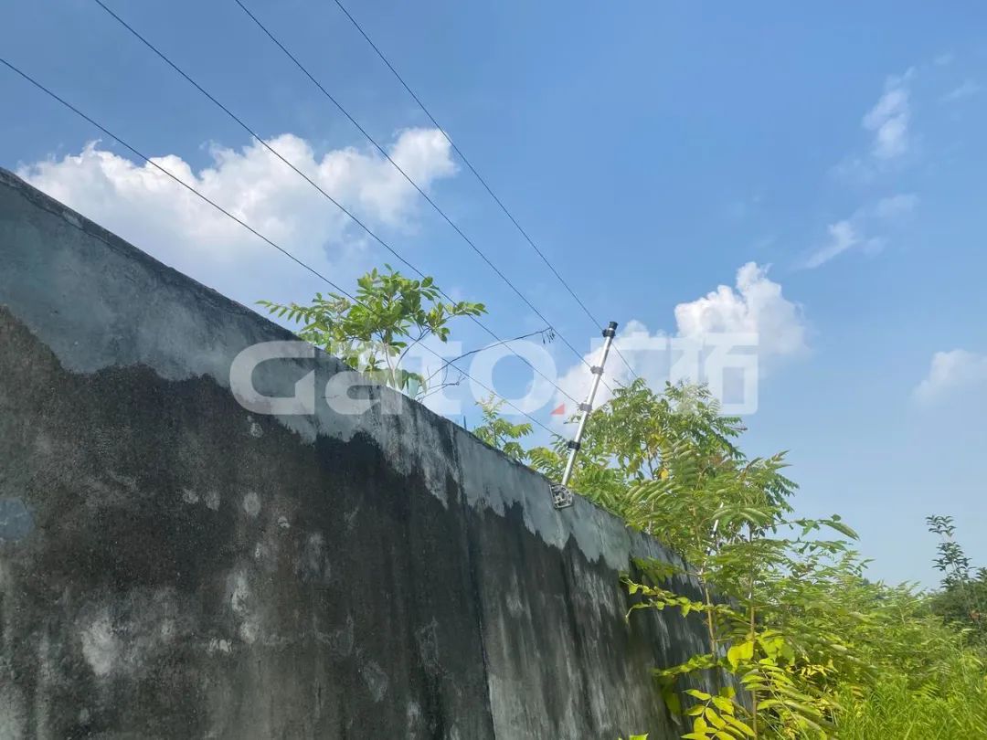 在2021年結(jié)束前，這53個(gè)廣拓下半年經(jīng)典案例推薦你看……(圖4)