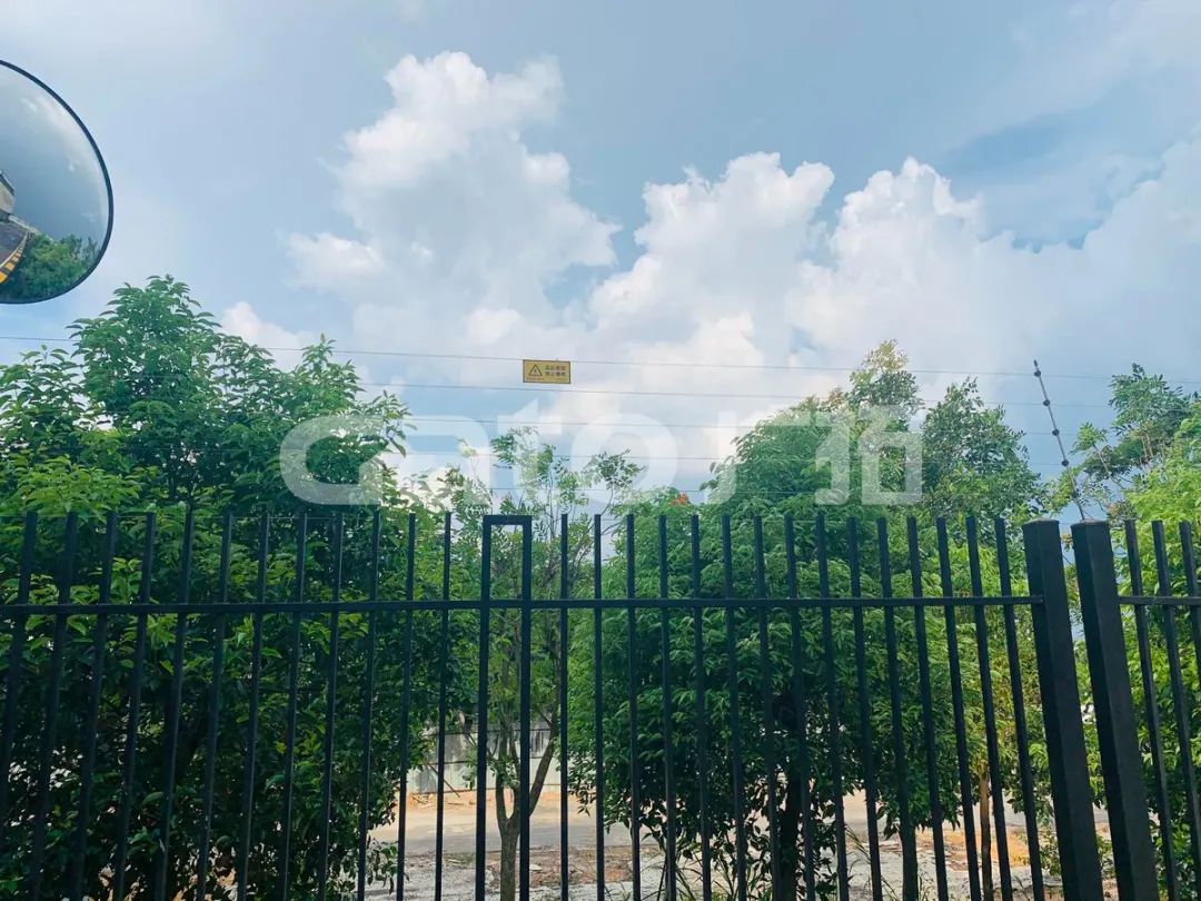 在2021年結(jié)束前，這53個(gè)廣拓下半年經(jīng)典案例推薦你看……(圖15)