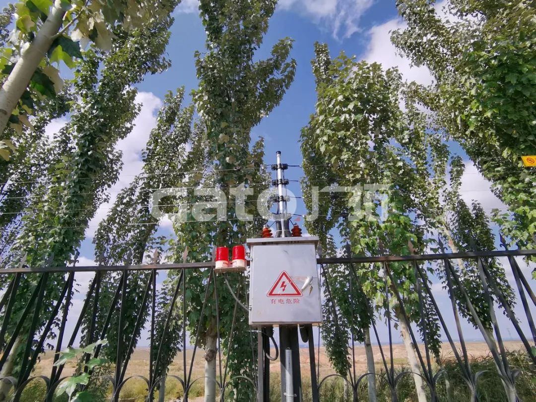 在2021年結(jié)束前，這53個(gè)廣拓下半年經(jīng)典案例推薦你看……(圖33)