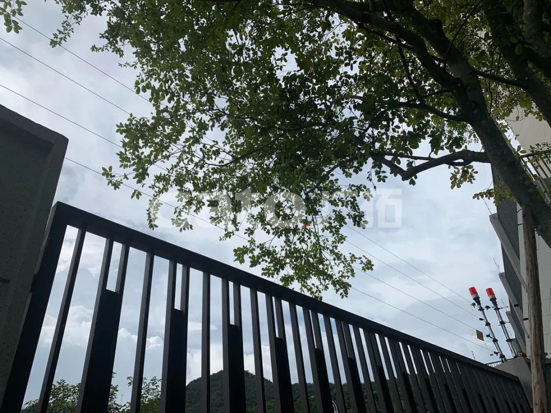 在2021年結(jié)束前，這53個(gè)廣拓下半年經(jīng)典案例推薦你看……(圖34)