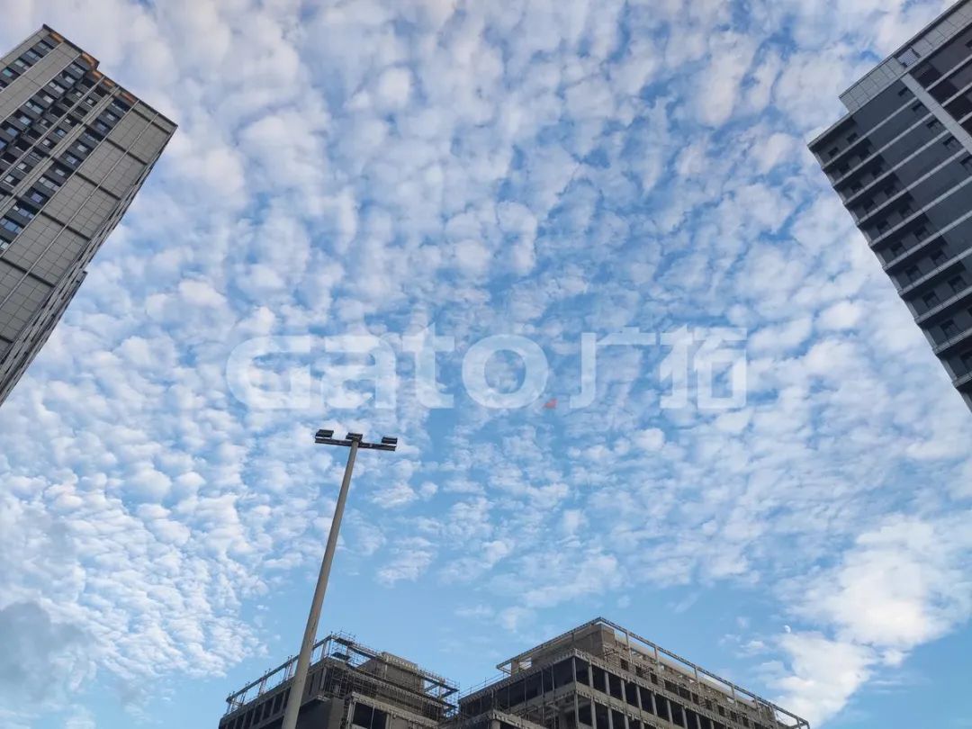 在2021年結(jié)束前，這53個(gè)廣拓下半年經(jīng)典案例推薦你看……(圖39)