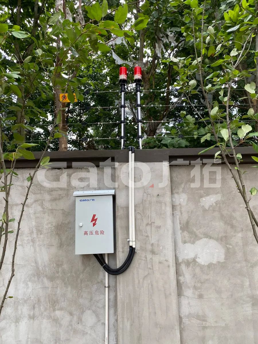 在2021年結(jié)束前，這53個(gè)廣拓下半年經(jīng)典案例推薦你看……(圖56)