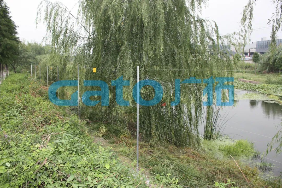 一文解鎖15種電子圍欄特殊安裝場(chǎng)景！(圖33)