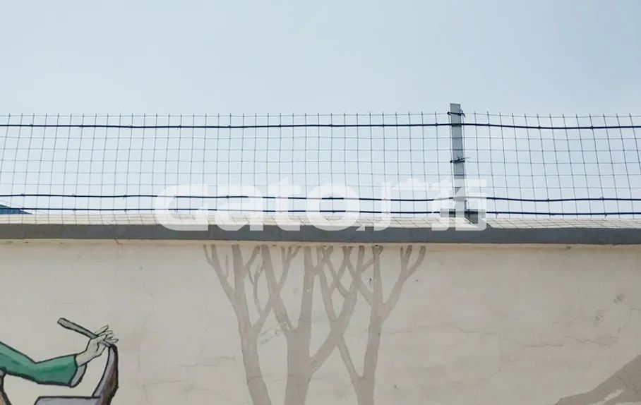 干貨|太全了，振動(dòng)光纖7大場(chǎng)景的安裝方式圖文詳解！(圖14)