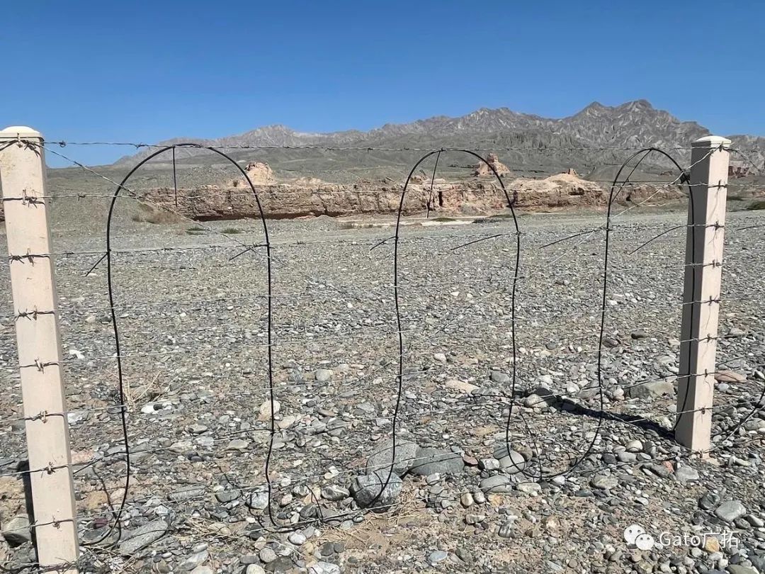 2021進(jìn)度條已過半，速速圍觀廣拓上半年精選案例！(圖8)