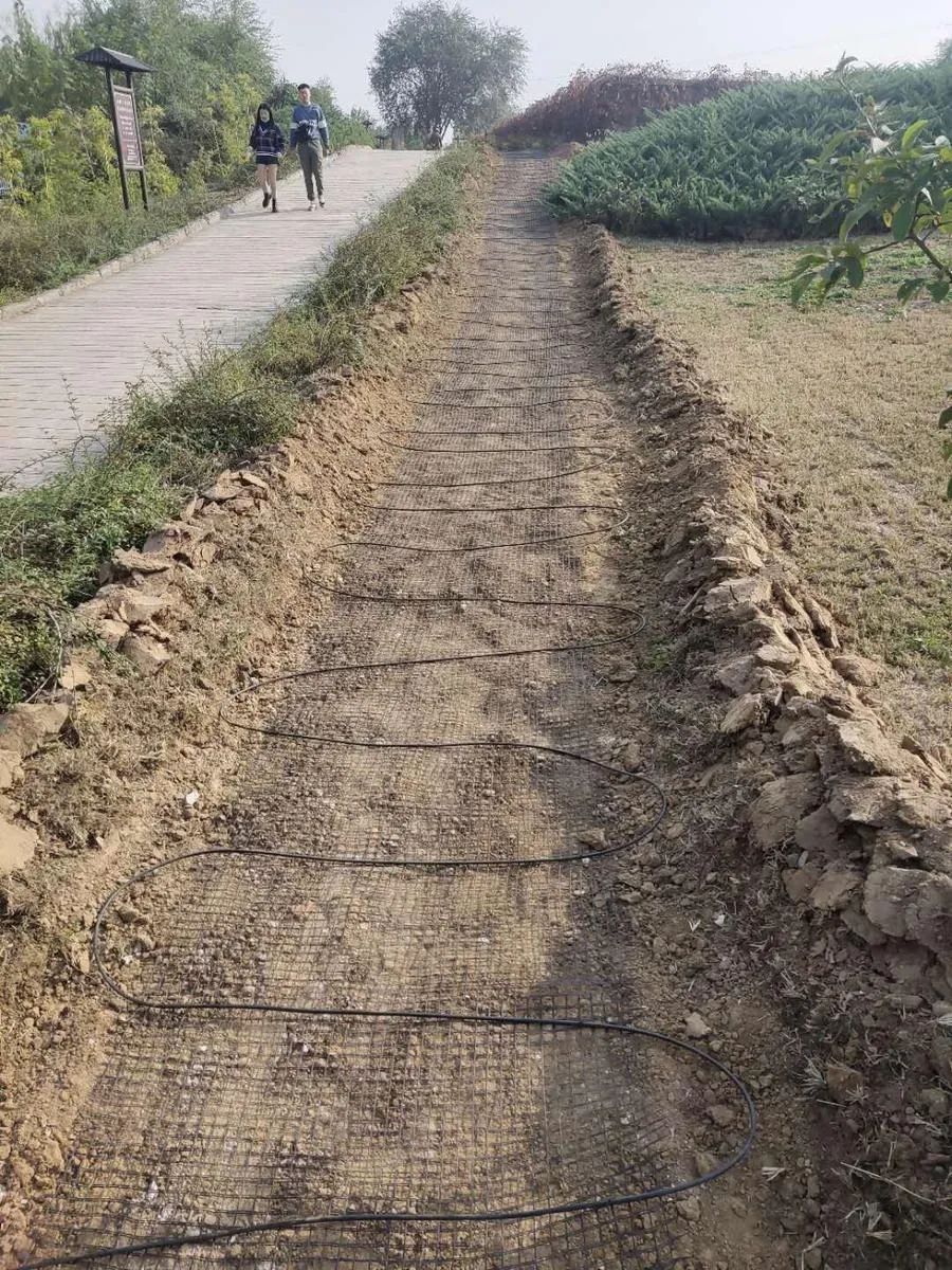 穿越回殷商王朝？15萬片甲骨的安全我來守護(hù)！(圖6)