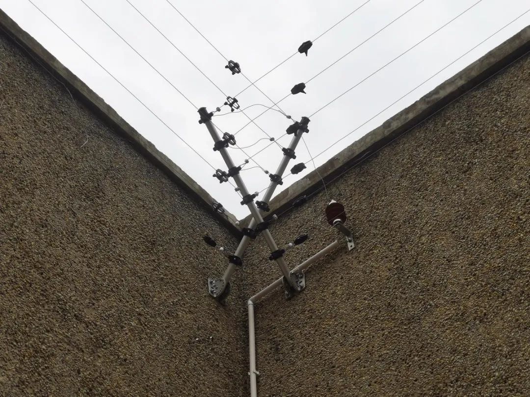 穿越回殷商王朝？15萬片甲骨的安全我來守護(hù)！(圖9)