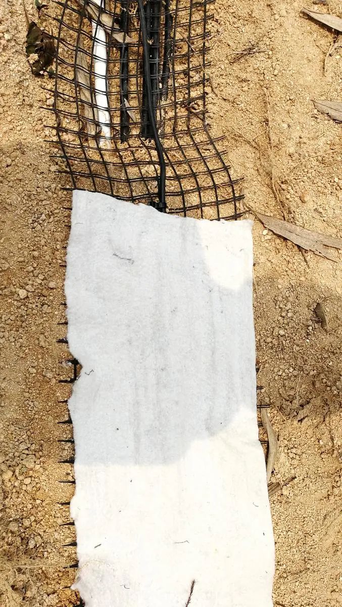 五一你負(fù)責(zé)浪~我負(fù)責(zé)安全感~(圖16)